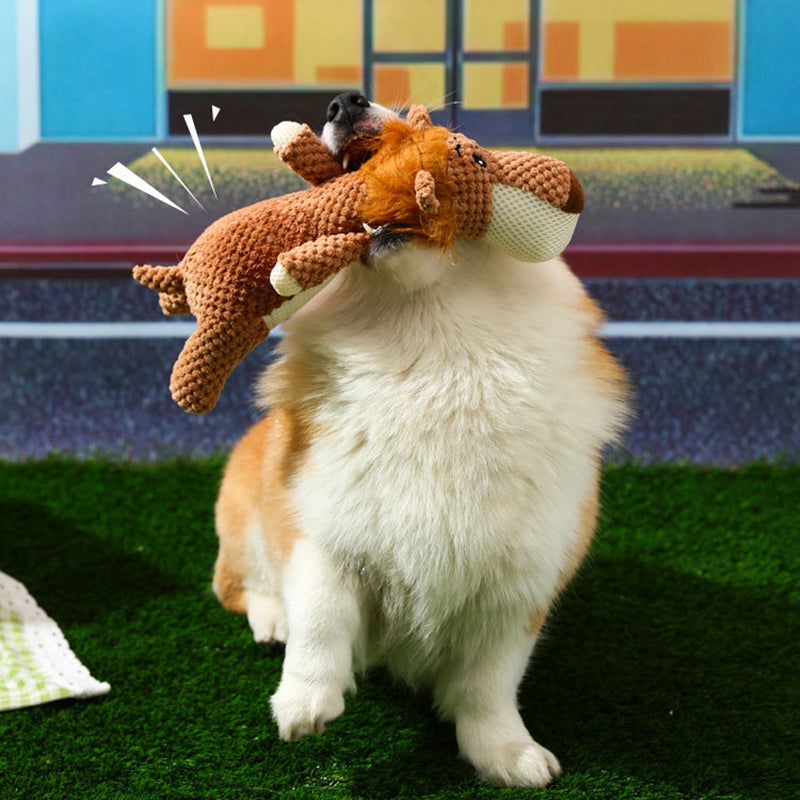 Luca | Unisex Hundespielzeug unzerstörbar interaktiv Beschäftigung 2