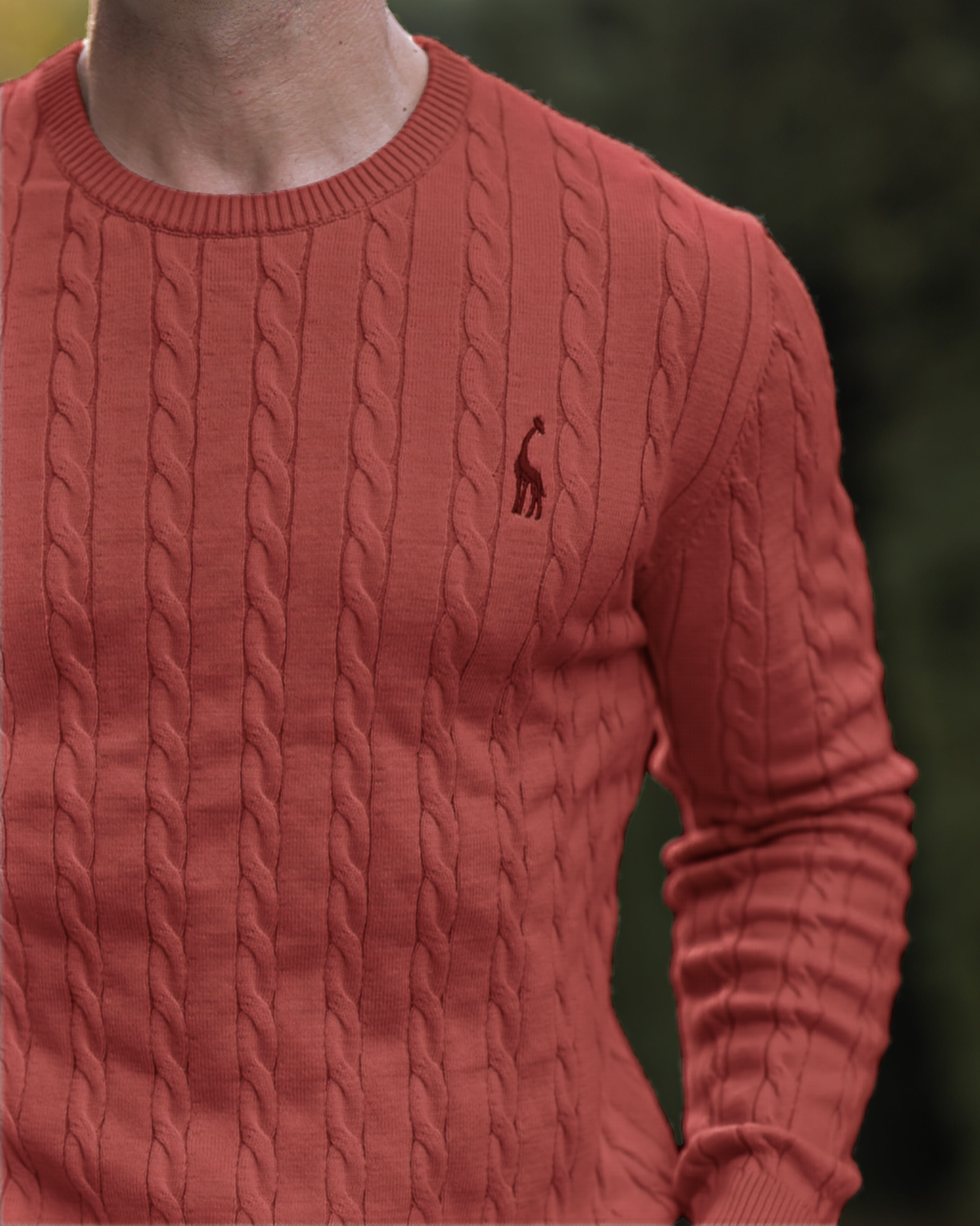 Zopfmuster Pullover für stilvolle Herren 15